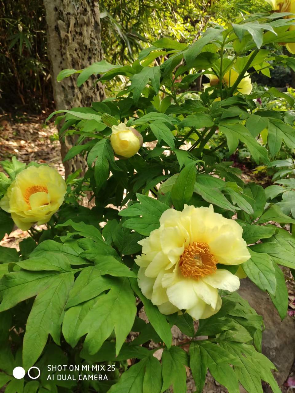 今天是清明假期最后一天，
下午该去哪里玩呢？
各大公园绿地中心❤️人满为患，
要