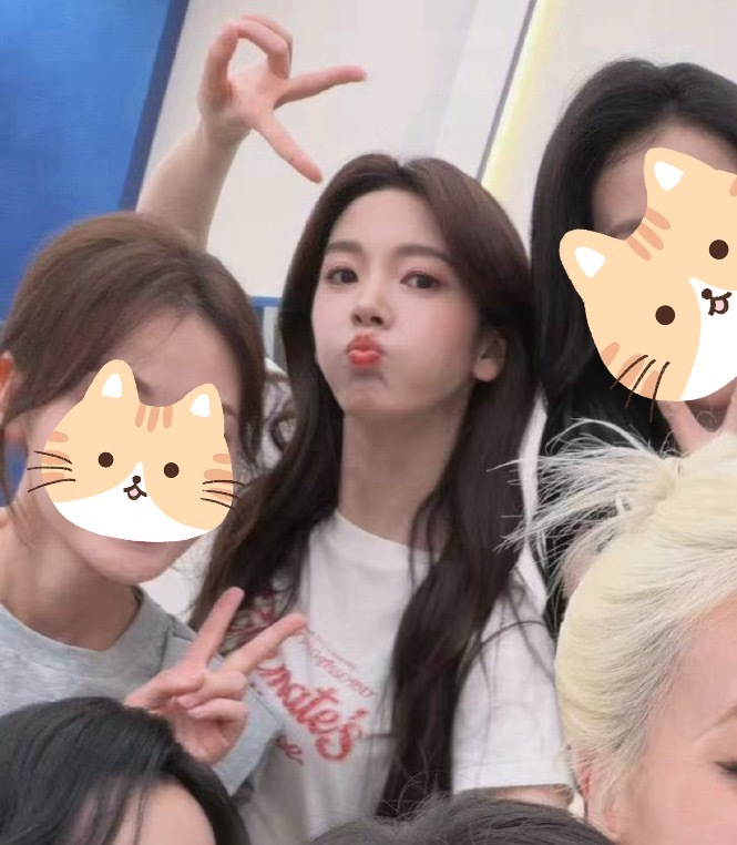我家小猪 