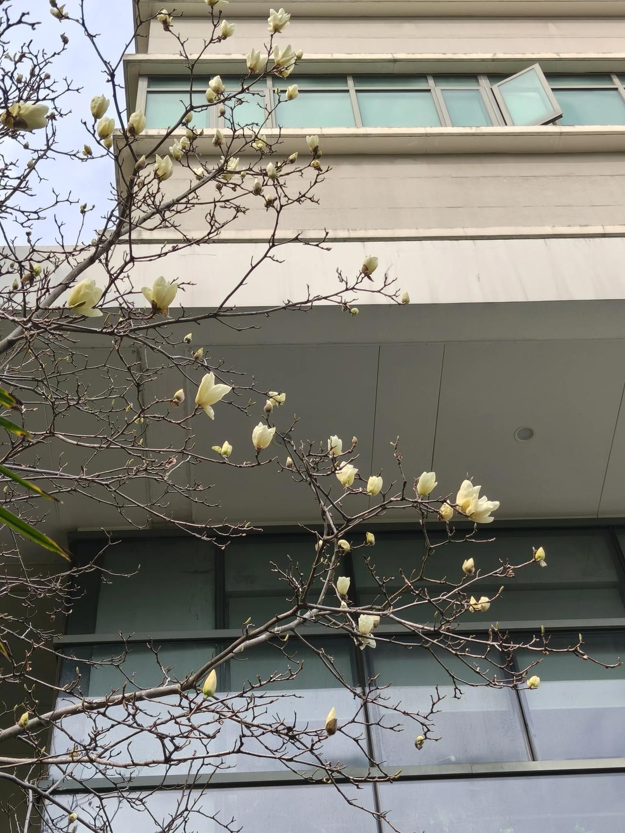 今天周一正常上班的，
虽说是退休人员了！

不过工资还没拿到手呢！
希望下个月可