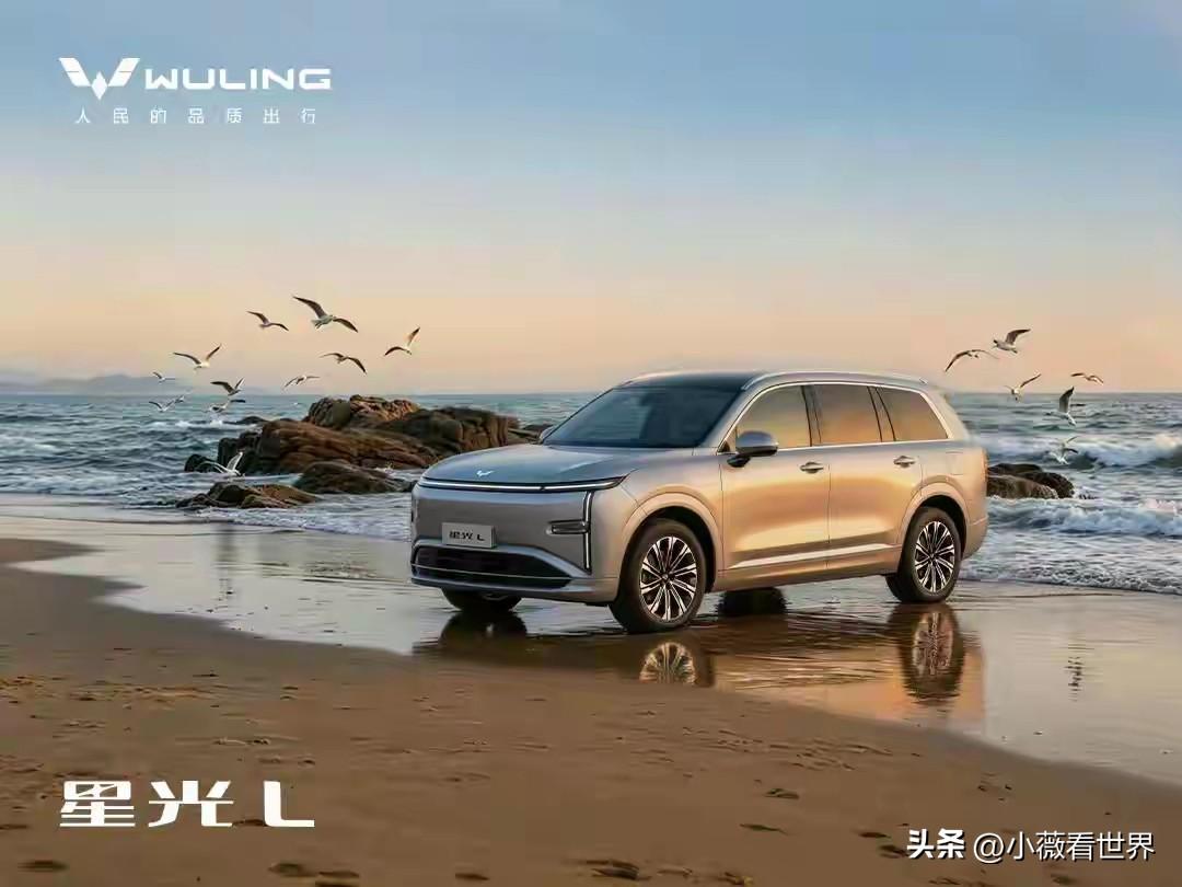 雷军、李想懵了，马斯克也万万想不到，就连王传福也惊呆了——

五菱星光L上市2周