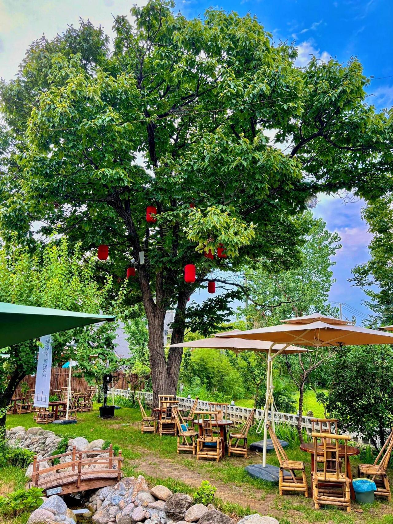 周末进山是西安人的宿命哈哈哈这家新开的360度环山小院就在沣峪口观山景、田景、上