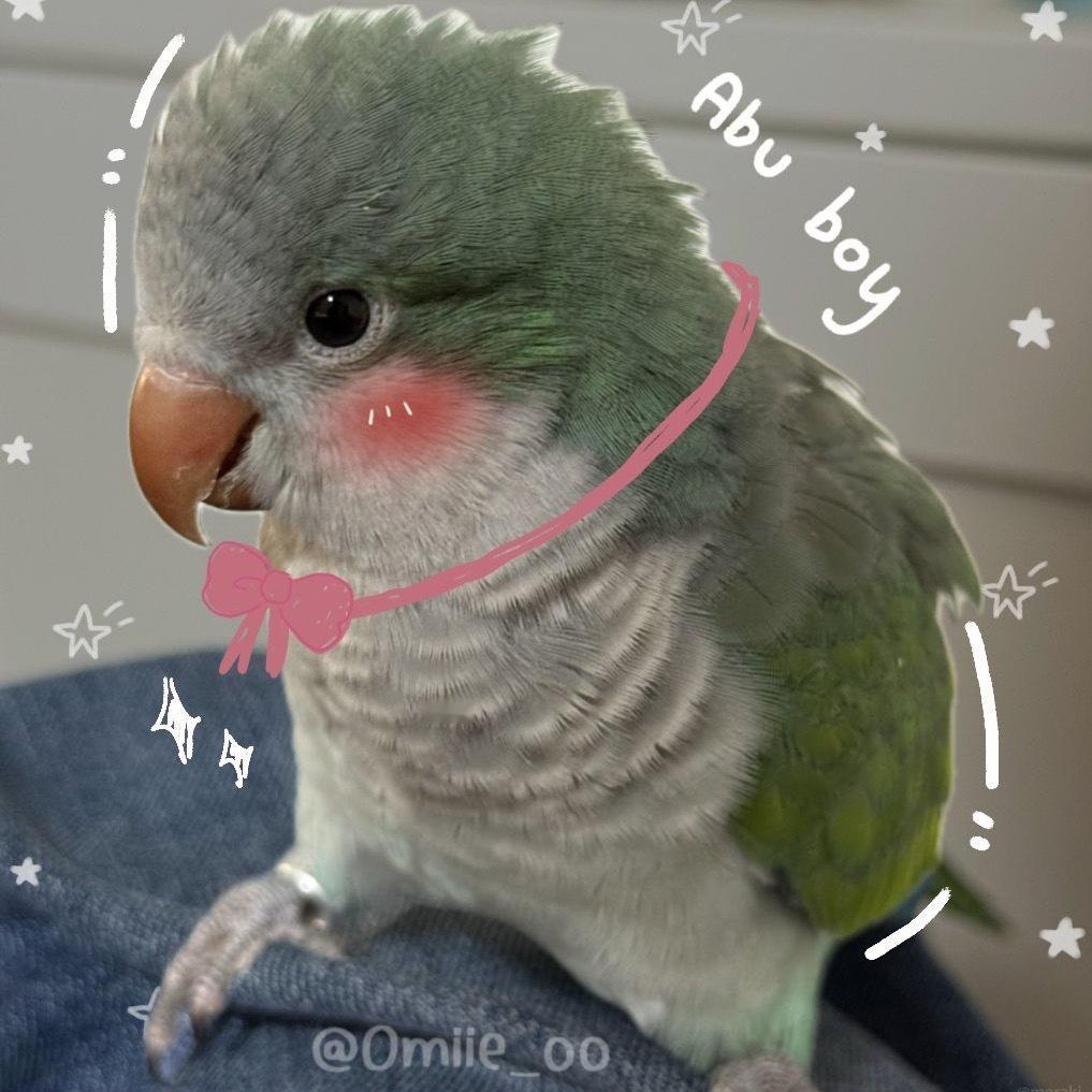 Abu小鸡也有简笔涂鸦了 ​​​