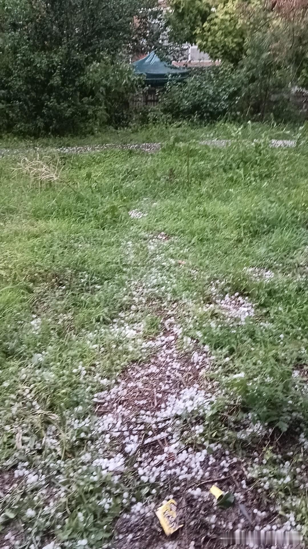 真心话茶局昨天下午七点多出去倒个垃圾，结果被冰雹堵在半路，车棚里避雨，下冰雹的时