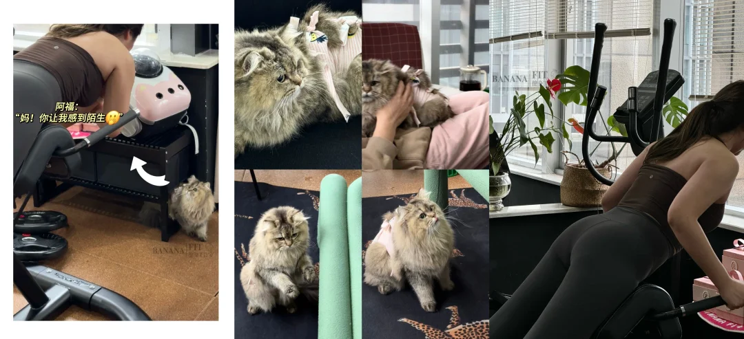 热知识：还有三个月就穿短袖了