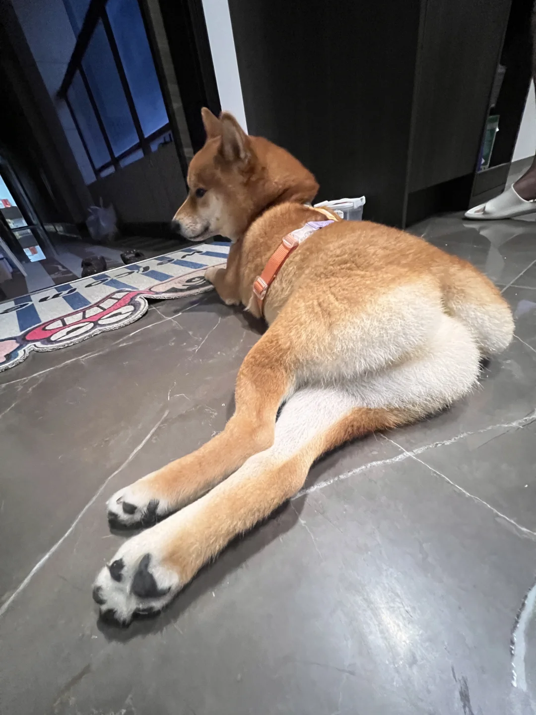 你干嘛？？