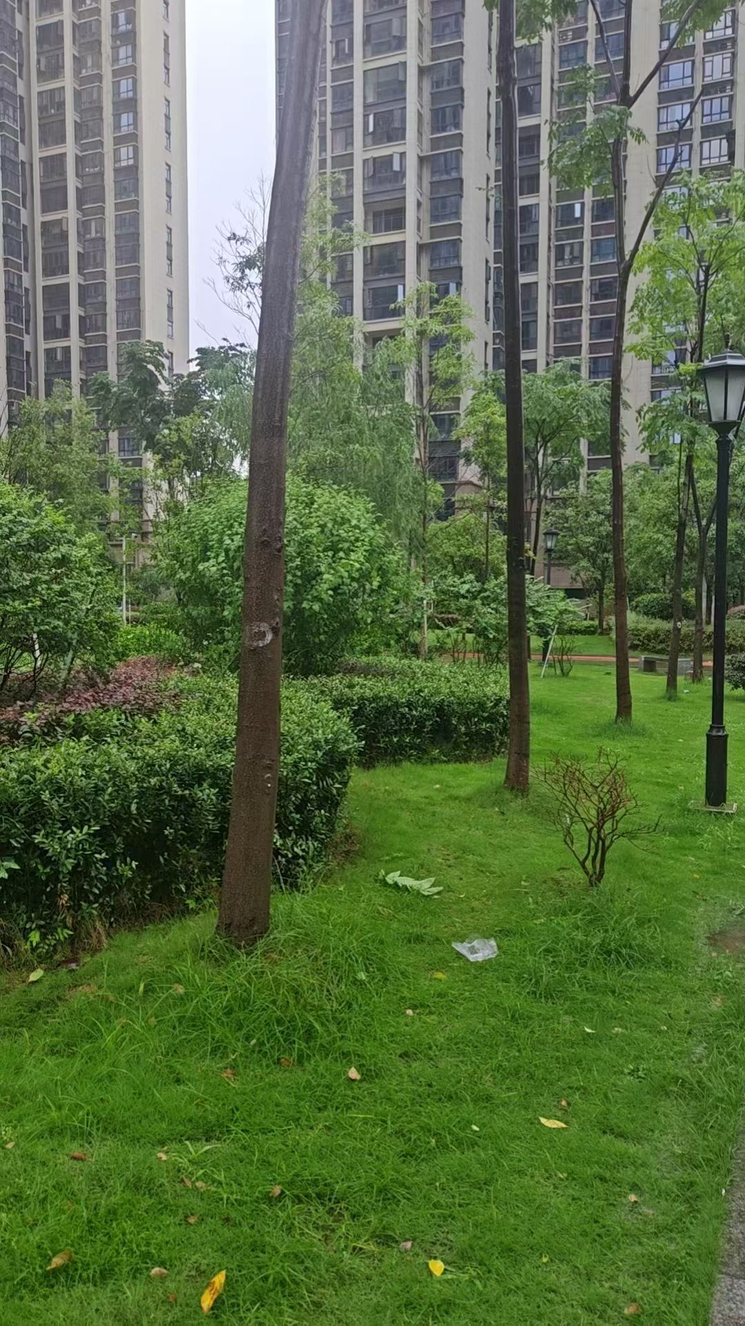 plog  人生是一场巨大的omakase见世面最好的方式是跟着去办事人生角色不