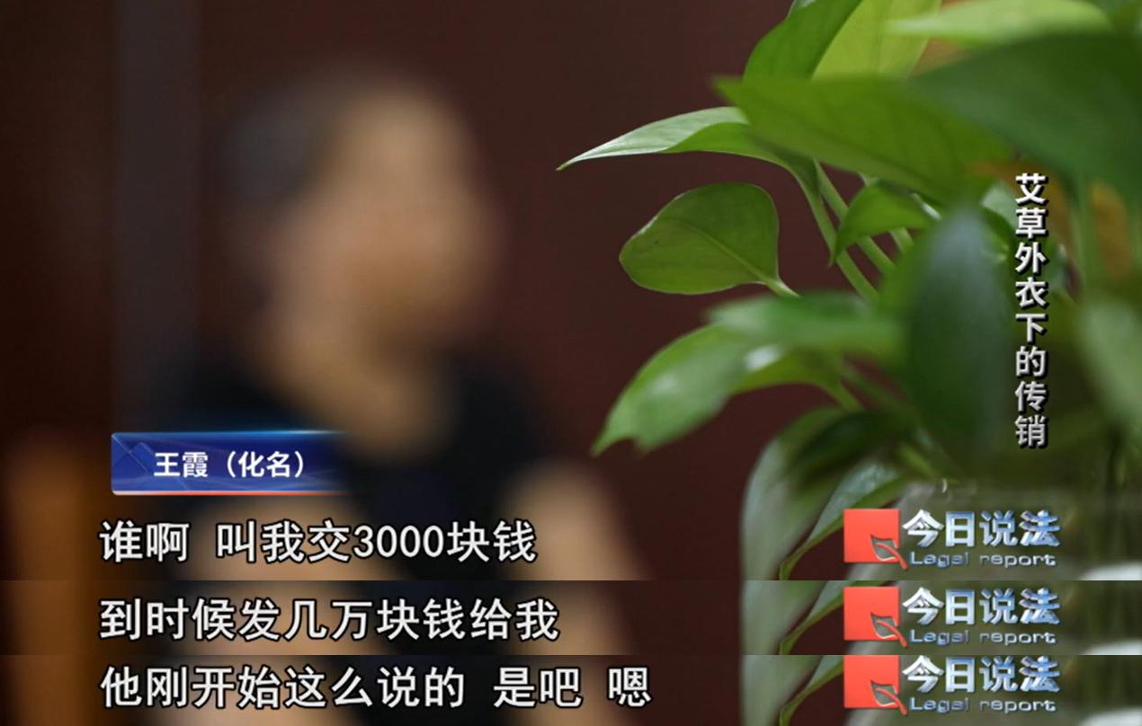央视《今日说法》栏目播出节目《艾草外衣下的传销》，曝光了湖北蕲春一起以艾草产业为