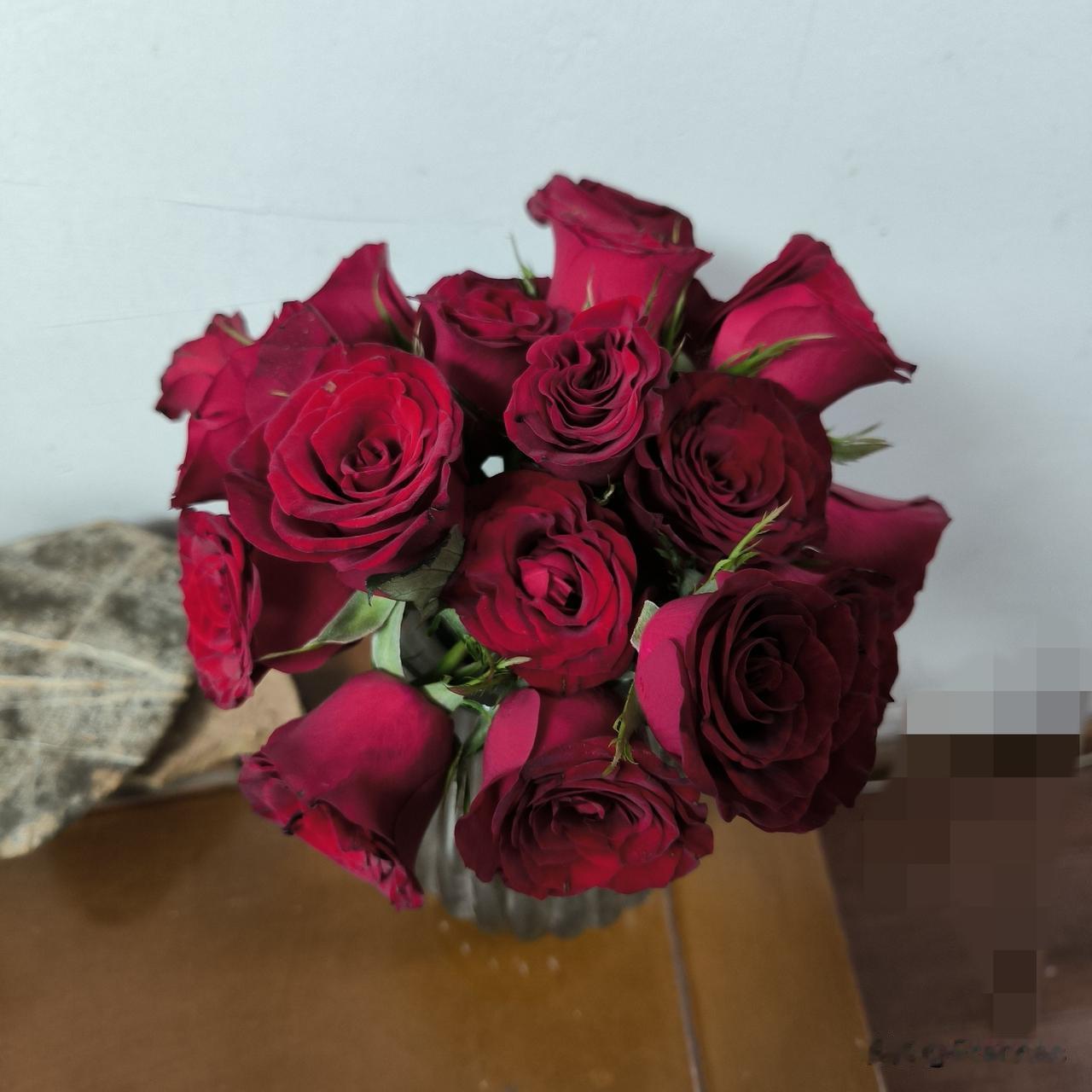 不花钱的玫瑰花来一打

昨天早上，随着院子大铁门一声响，我就知道瘦哥打羽毛球回家