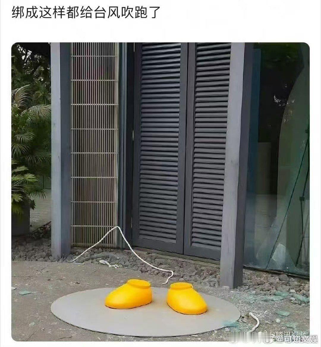 腾讯企鹅被吹的只剩脚了鹅被吹的只剩脚了鹅被吹的只剩脚了，哈哈， ​​​