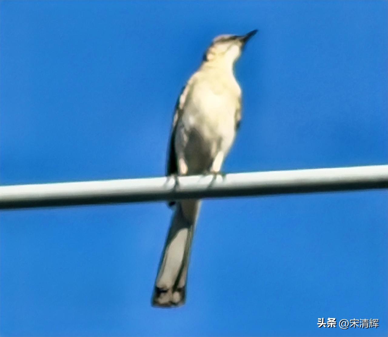 （1581）：我活着，宋昊然就活着。他活得精彩、活得洒脱，活得超凡脱俗。