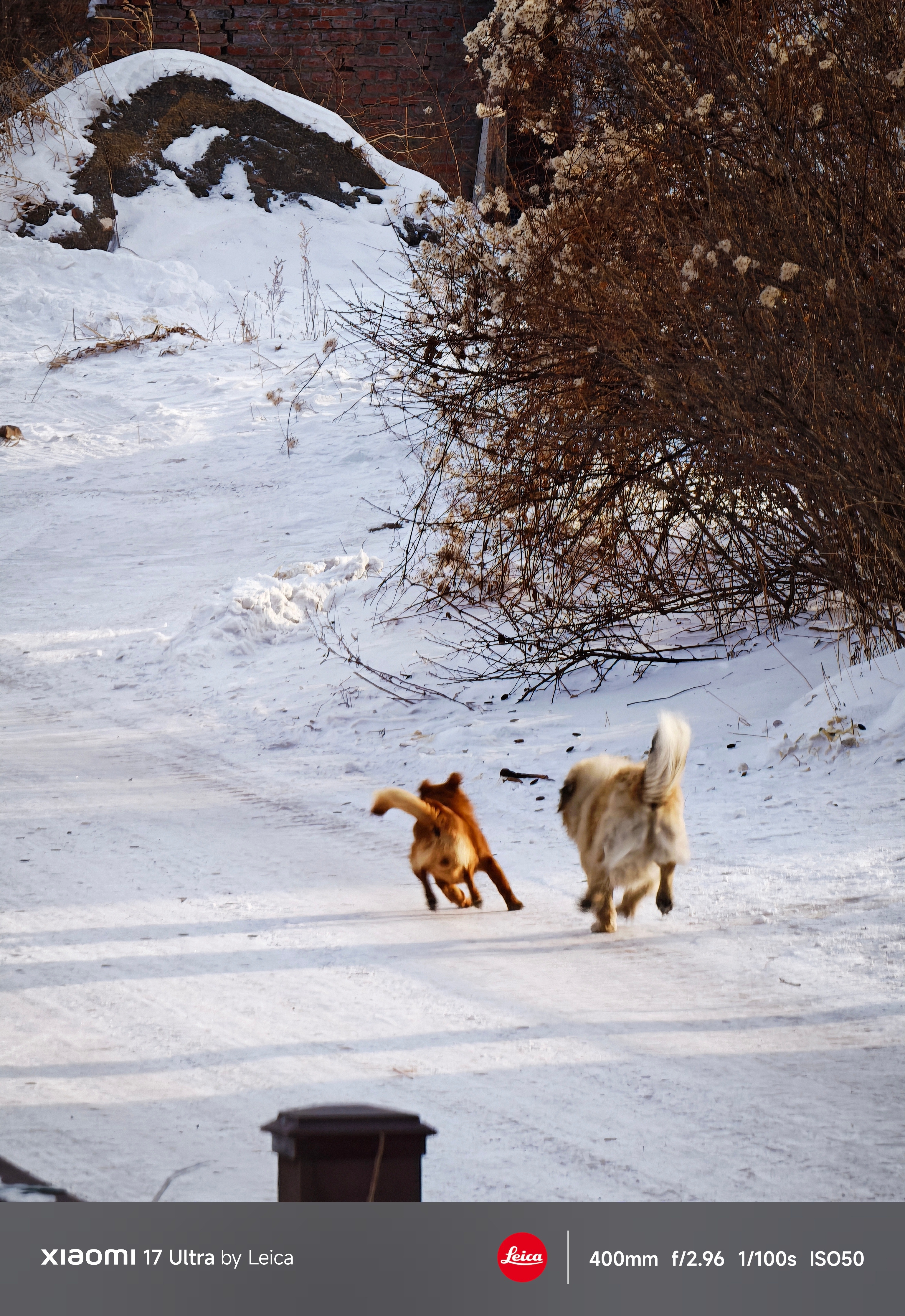 刘邦48岁在村里看狗打架，而我只要25岁就在村里看狗打架了。什么实力？ 