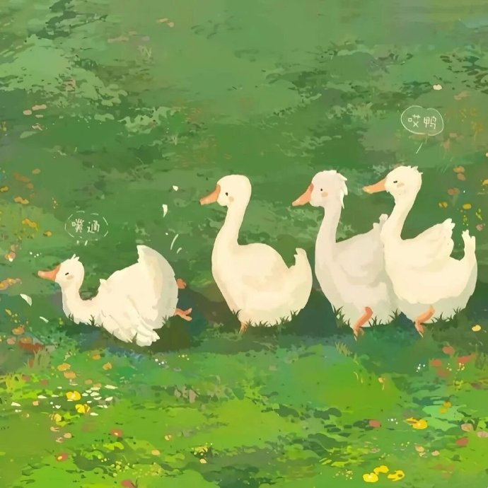 𝙳𝚘𝚗'𝚝 𝚊𝚜𝚔 💬 “人生怎么选都会有遗憾 往前走就是了” 