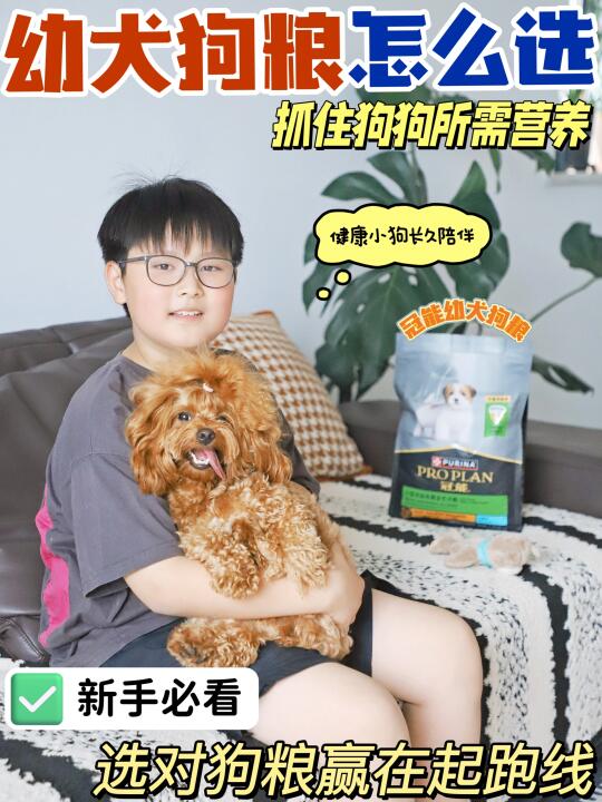 新手养狗必看~选对幼犬粮赢在起跑线！