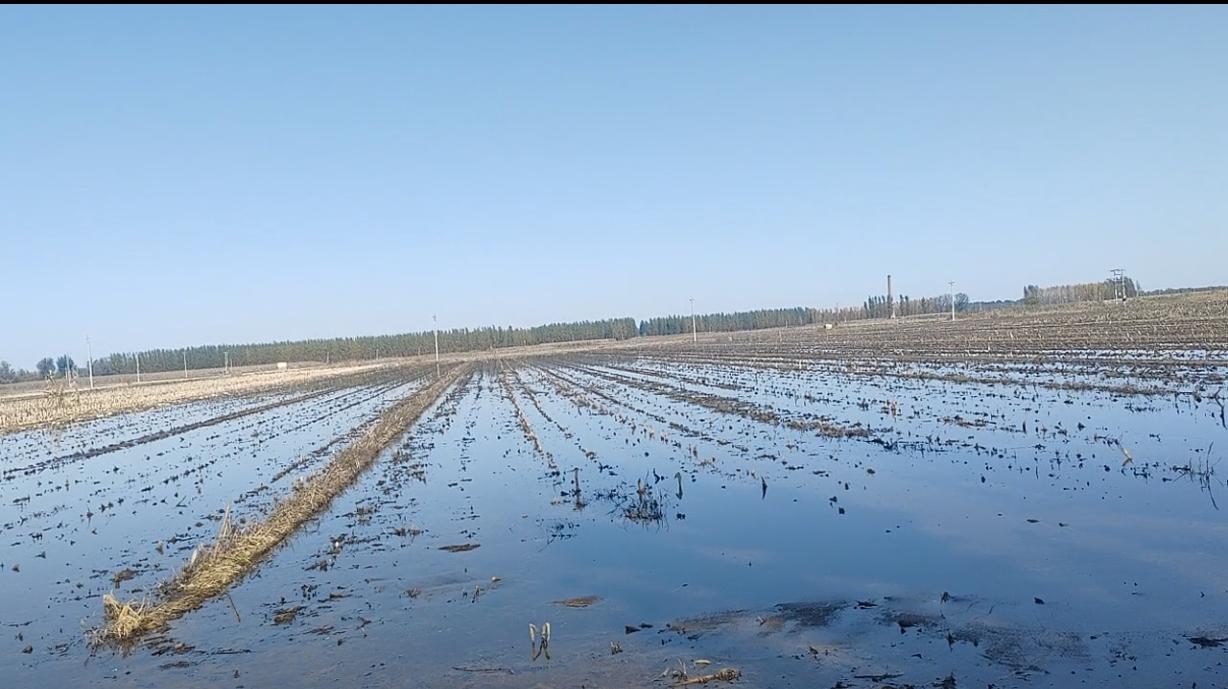 我们这一片的几个村子，秋季作物连续三年都遭受了水灾。
上级非常关心农作物的受灾情