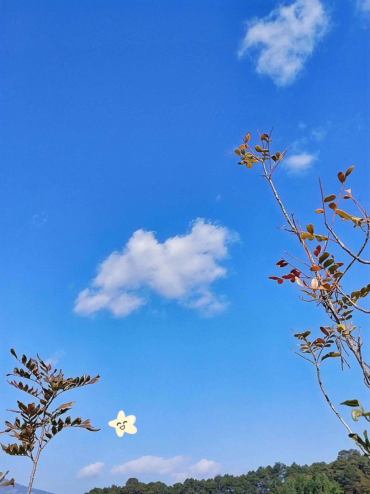 蓝天白云，阳光明媚，心情大好！🌞🌤️