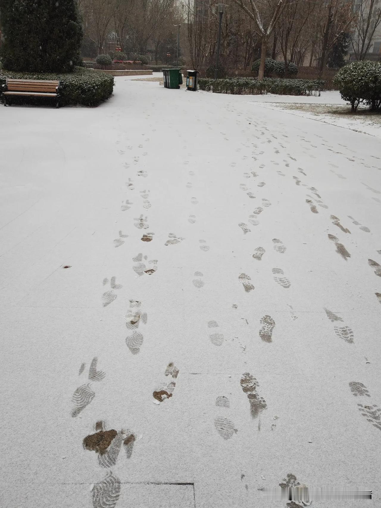 兰州迎来下雪天，气温最冷将达到-16℃，高温降至-4℃。

这场雪下的，银装素裹