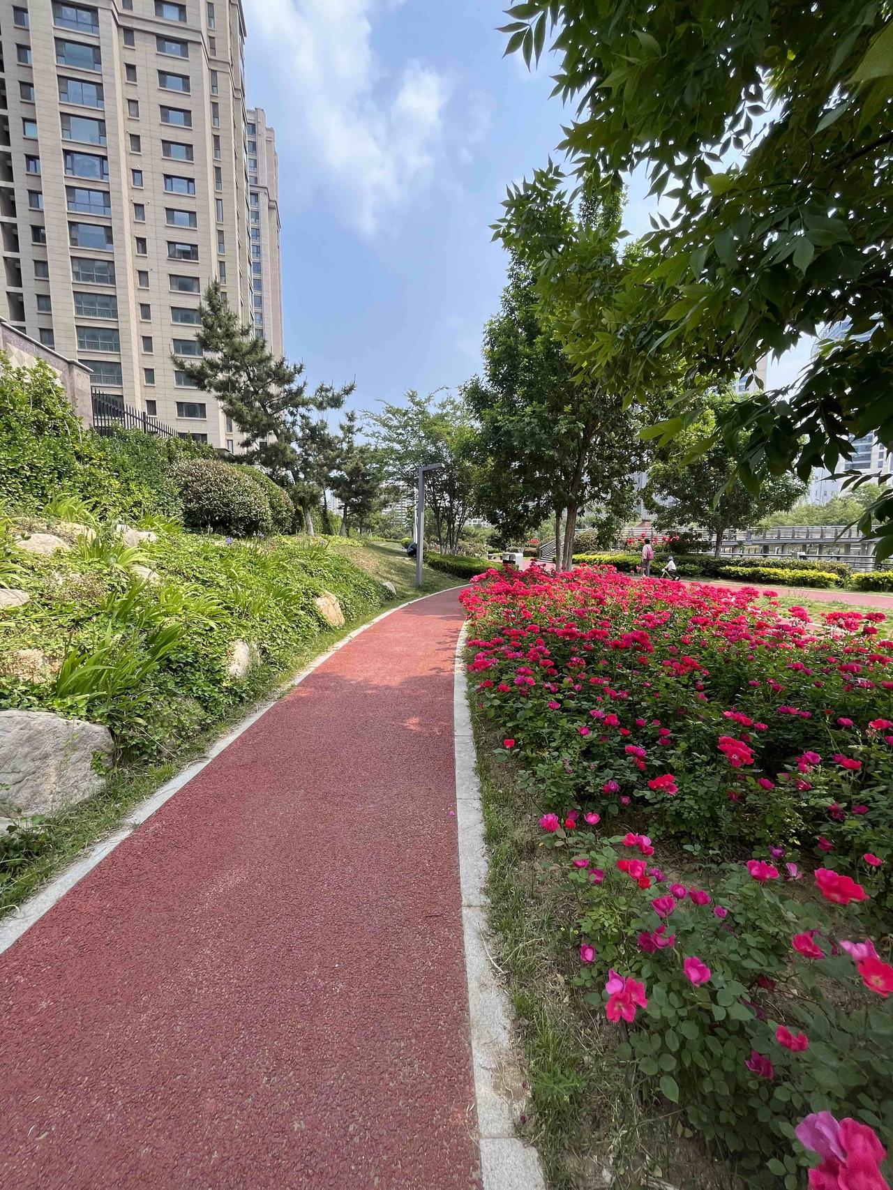中国气候最好的6座城市：自然与宜居的完美融合  

我是从2012年开始旅居的，