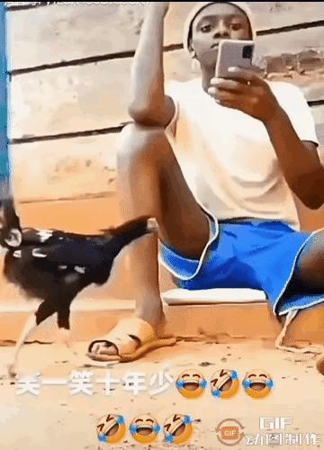 究竟看到了什么，对小哥下此狠嘴～