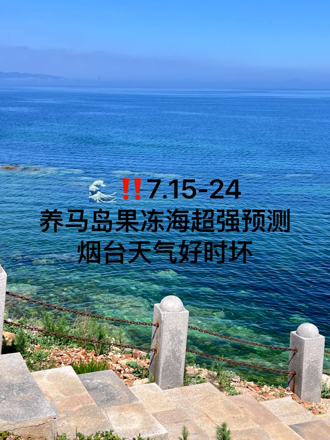 📍7.15-24号烟台养马岛果冻海超强预测