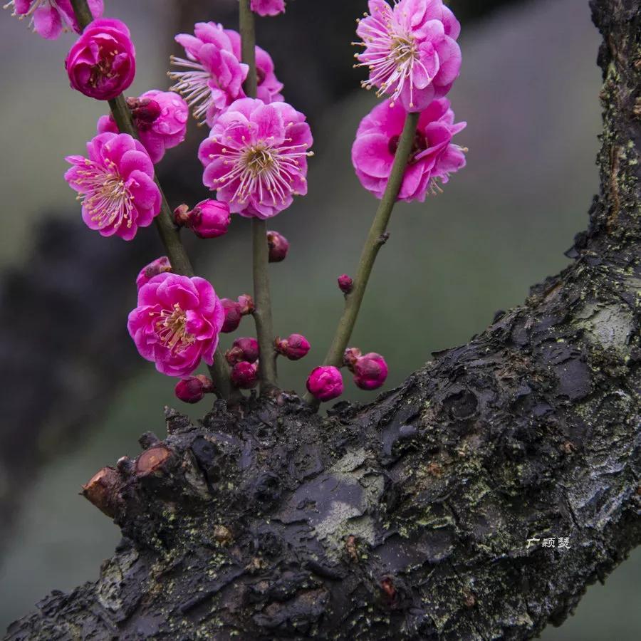 周一盘后传来重磅消息，周二需留意板块轮动节奏！
周一盘后重磅消息如下：
一、据媒