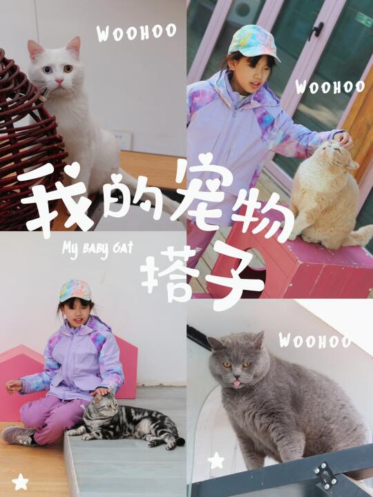 一不小心捅了猫窝🐱爱猫小朋友来了不想走