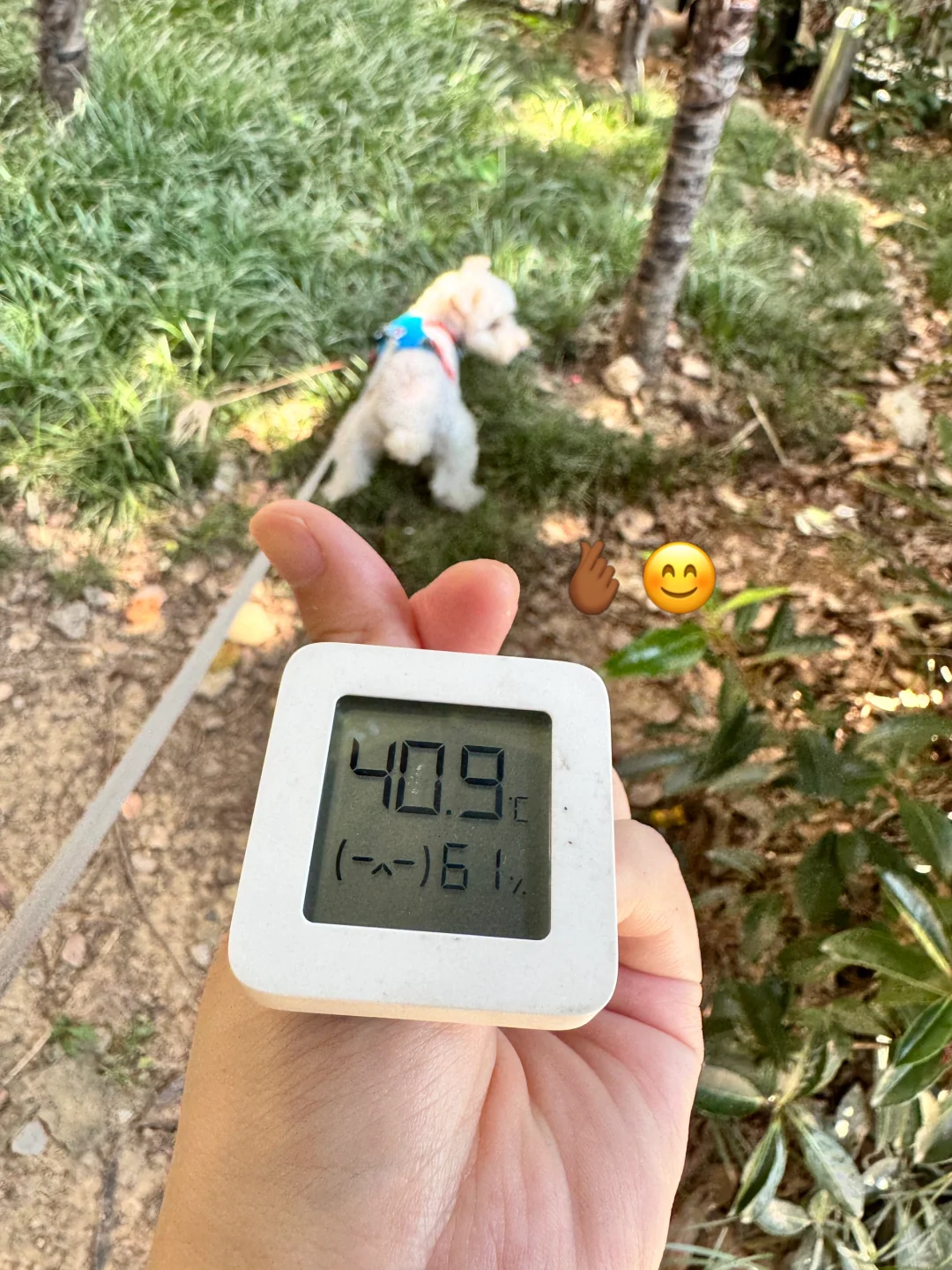 再热也要6狗鸭🫰🏾