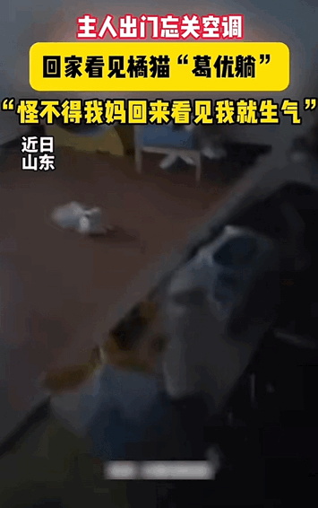 日子怎么可能跟谁给过都一样！山东，女子上了一整天班，满身疲惫回到家，一开灯却被自
