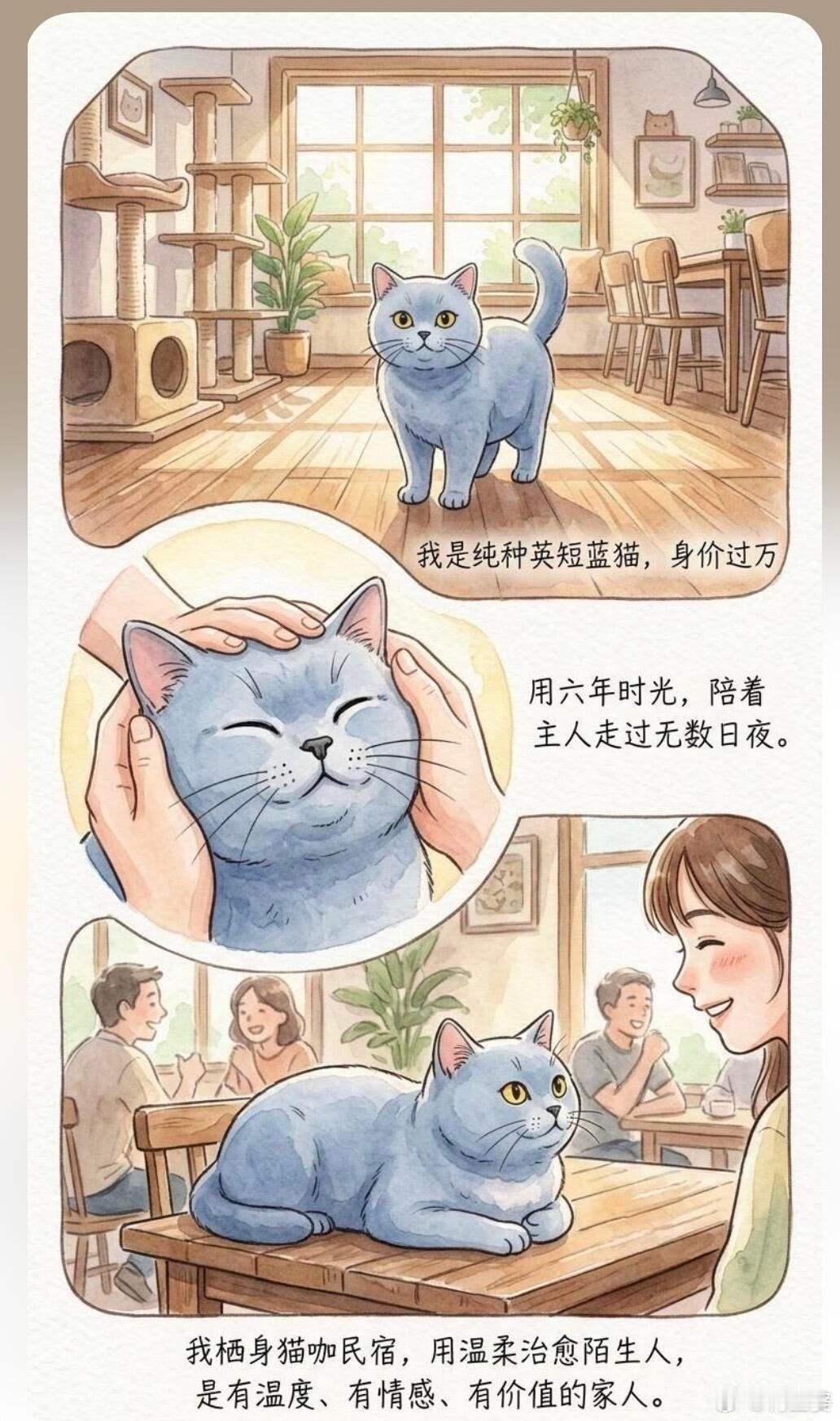 -大家还记得厦门被盗的蓝猫肥肥吗？原来今天是肥肥离开的第100天而家长依然在为肥