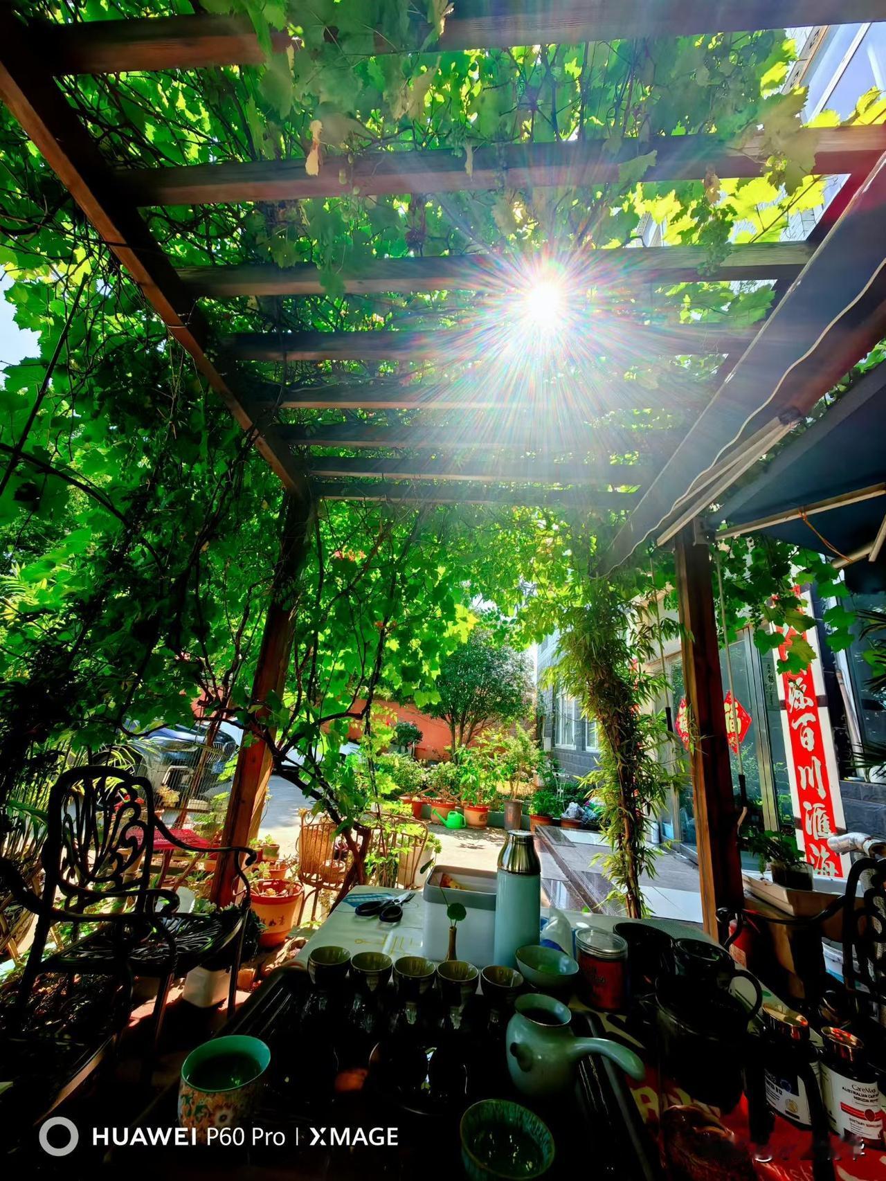 红尘安暖
总有一段情
是你无语的心事
总有一份念
是过往的旧章
心素若简
时光安