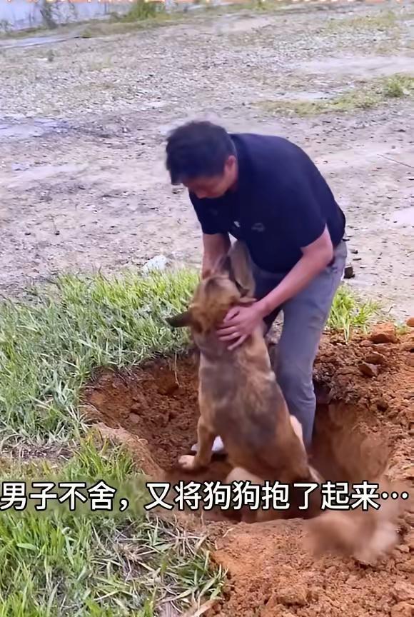 男人抱着僵硬的大黄，蹲在刚挖好的土坑前，手指一遍遍蹭过它耷拉的耳朵。

​这是他