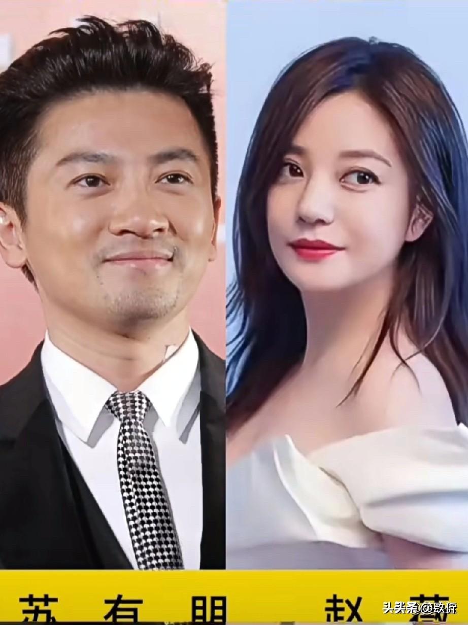 苏有朋和林心如、贾静雯、高圆圆、秦岚，8位“女神”合作过，谁是你心中“苏有朋最佳