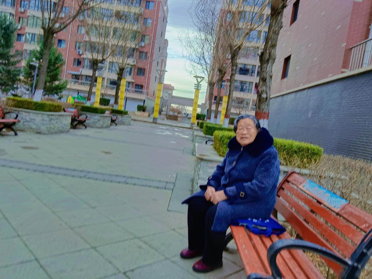 老太太坐在公园长椅上晒太阳。