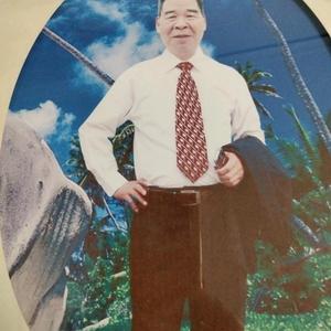 青松常驻