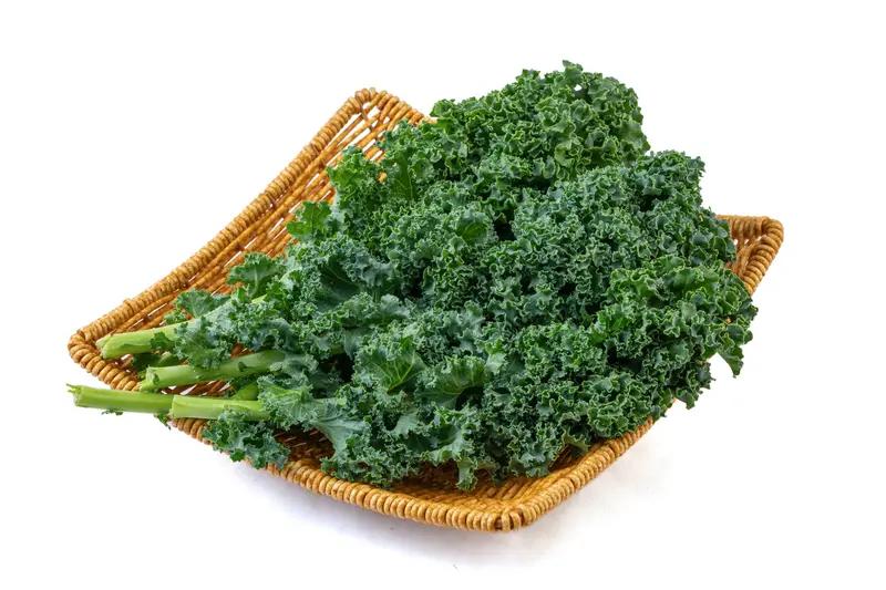 家里养绿植，乐趣可太多了。要是常规绿植养不好，不妨试试奇葩绿植。像甘蔗，取最上面