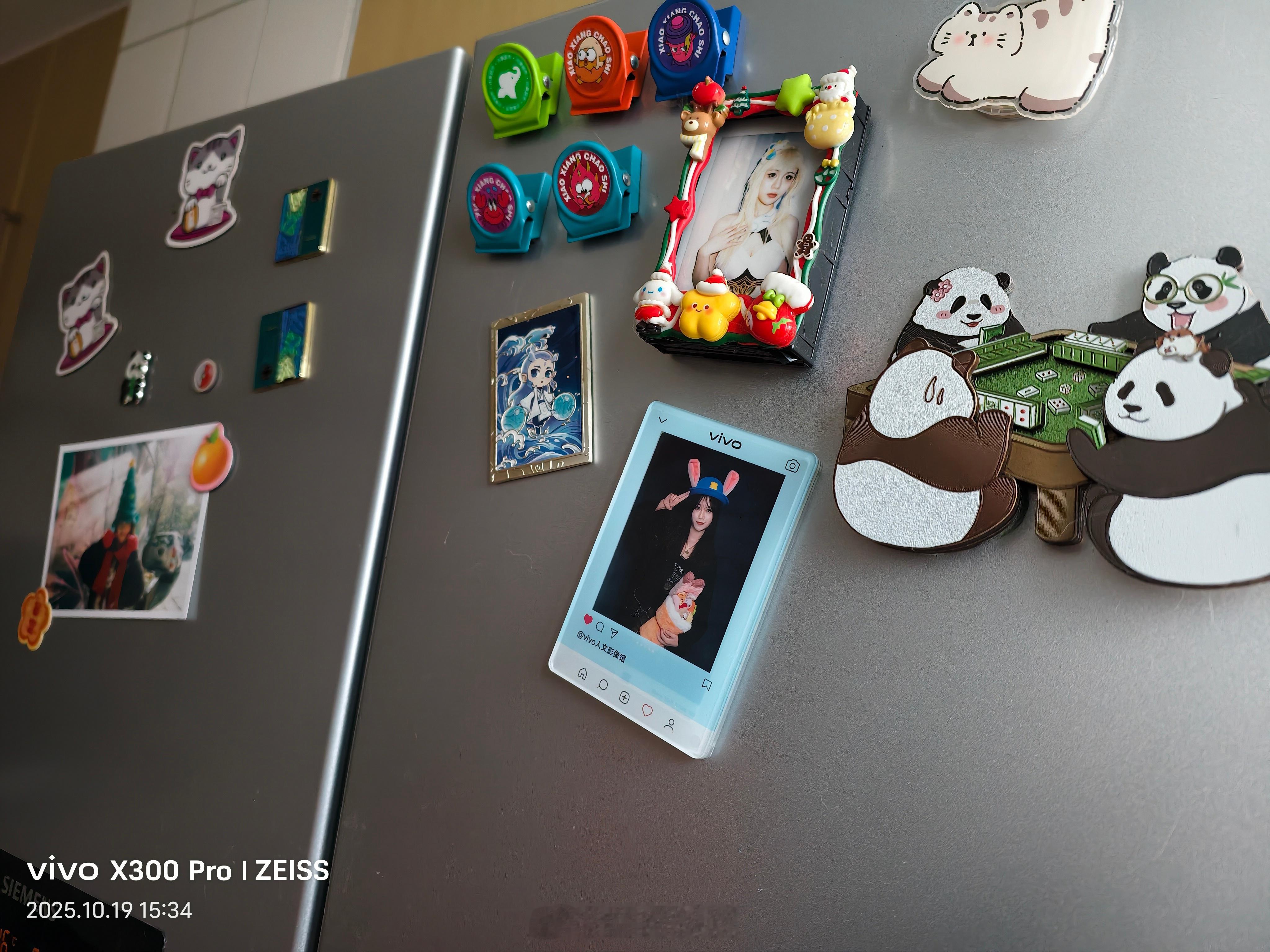 你们会把照片diy成冰箱贴嘛？vivo X300系列 ​​​