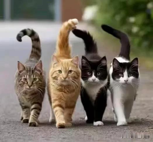 做人的底线：不忘恩情，不失诚信，不伤人心！
愿世间的人都能做个不忘恩情，不失诚信