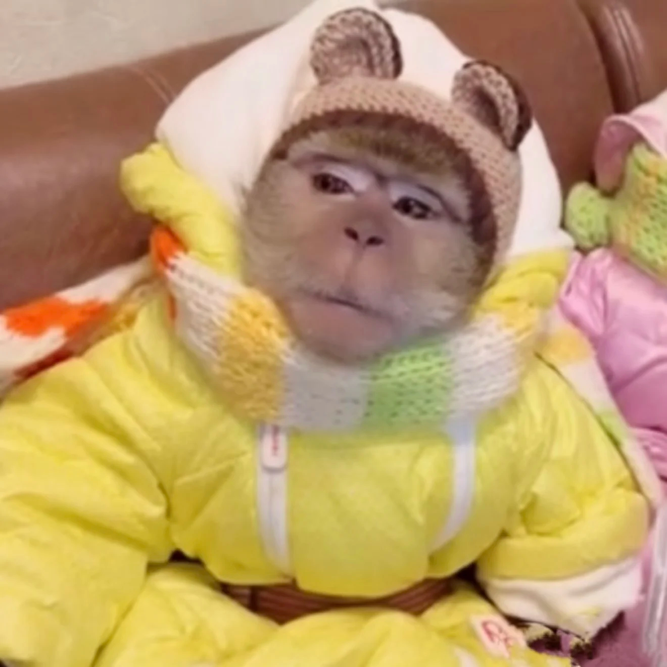 异地恋真的好辛苦，我和被子分开超过一秒就会开始发脾气 