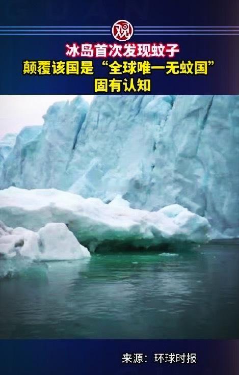 冰岛首次发现蚊子！作为全球最后一个无蚊人类居住地的历史，在2025年10月16日