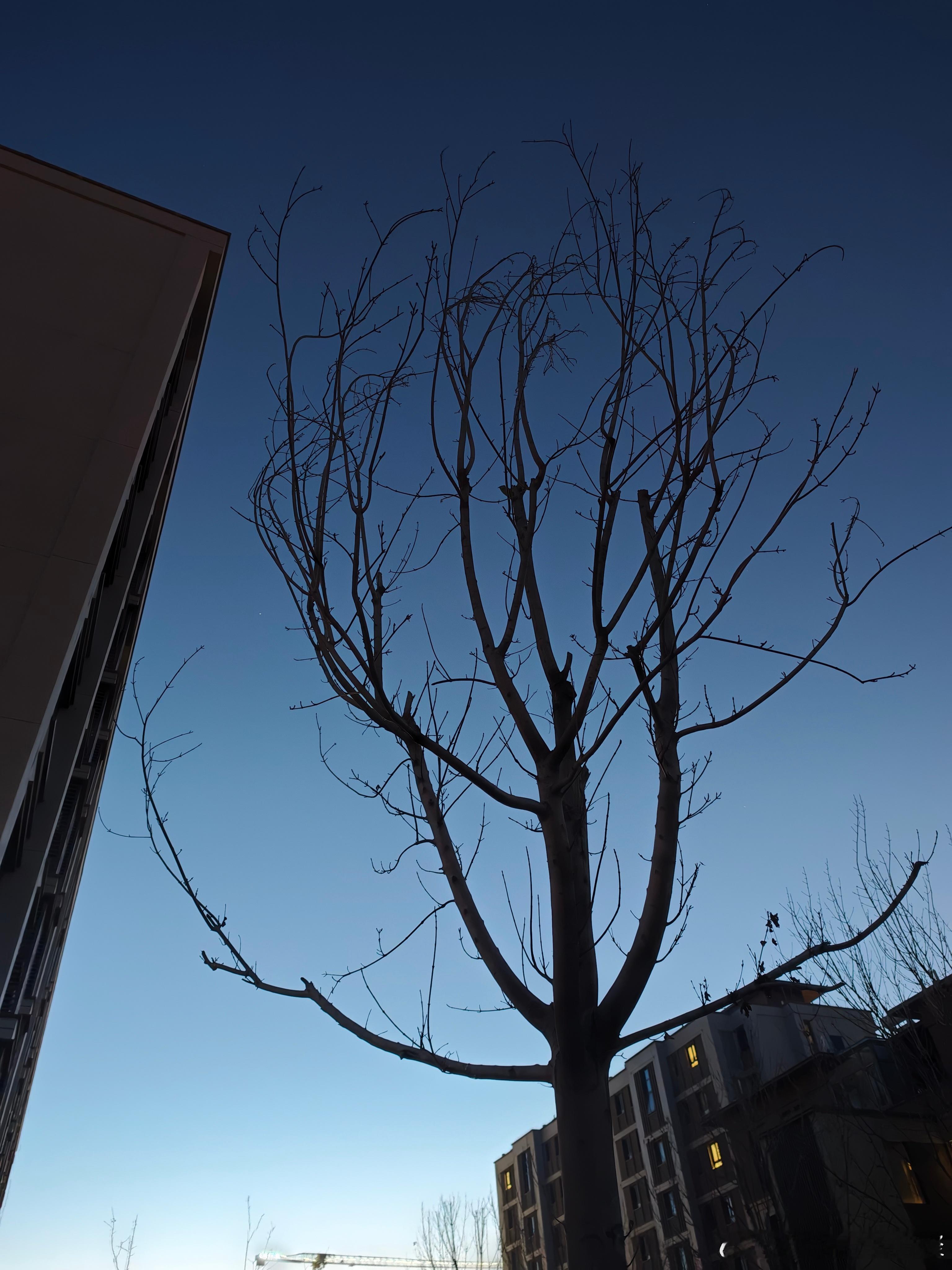 马力玩聚老马在路上 早啊兄弟们👬4小时后我猜我就能开上一台高性价比的大后超2.