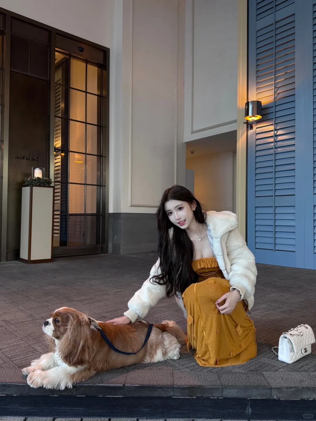 好治愈的小狗🥰