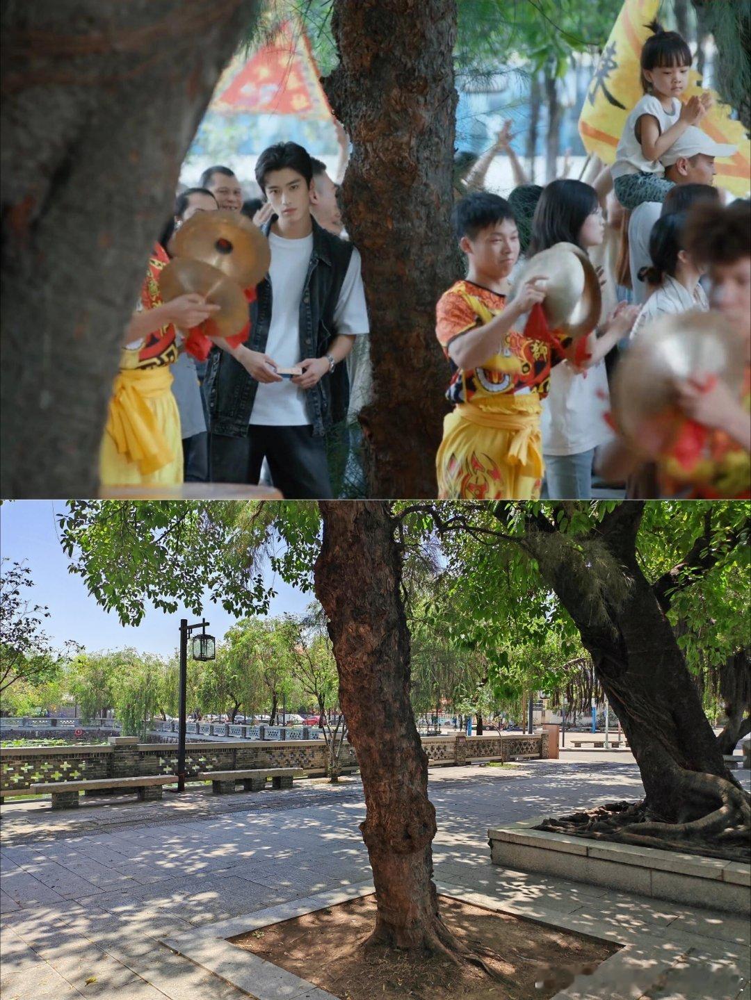 归棹打卡一秒回到西樵镇的夏天 ​​​