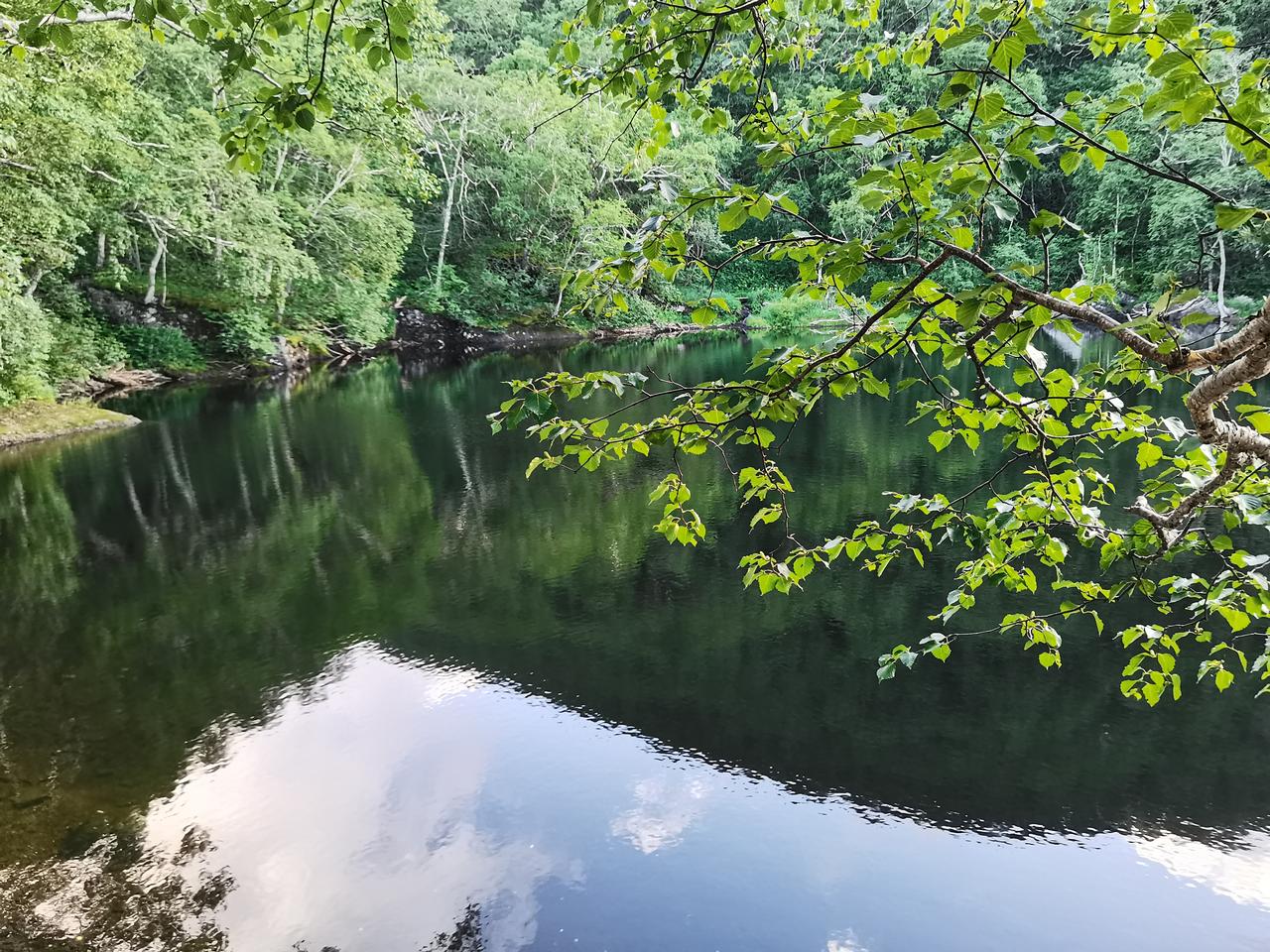《在是非中看清人心，在困难中学会独立：人生，没有白走的路》

我们总是渴望风轻云