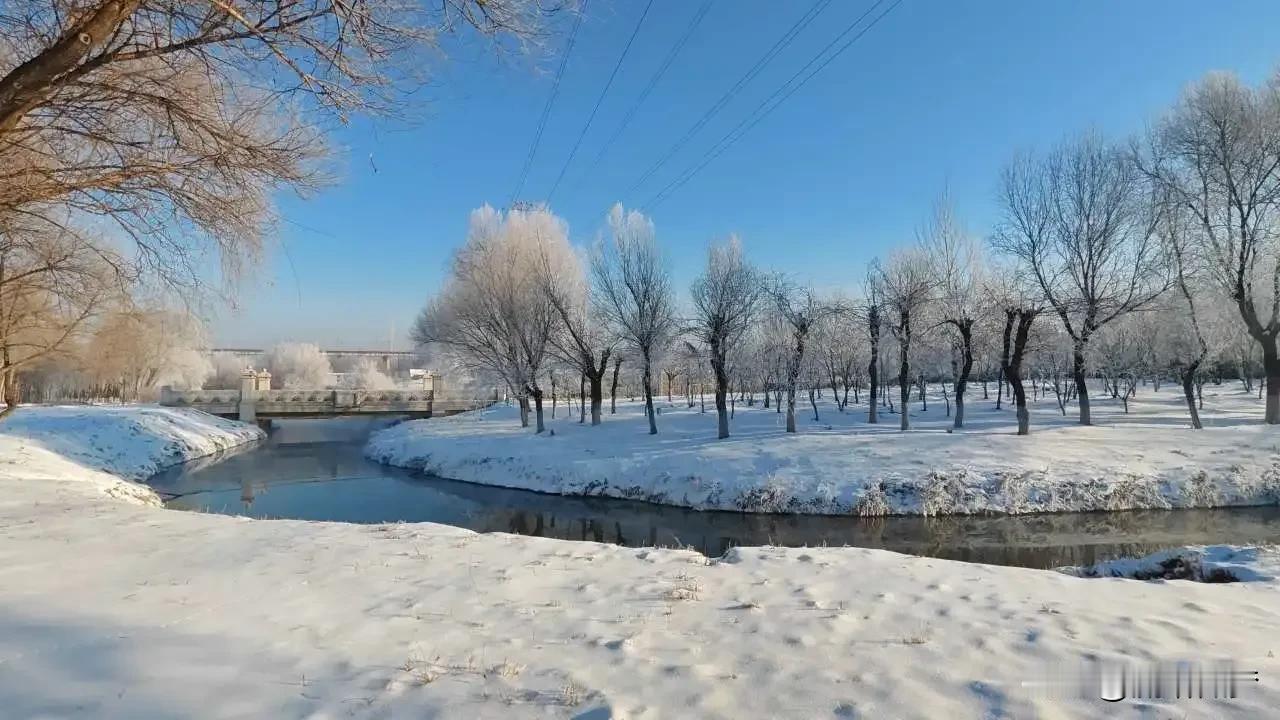 这该死的责任
一刻都不想坚持了  
格局打开
不要在一棵树上吊死  
找个适合自