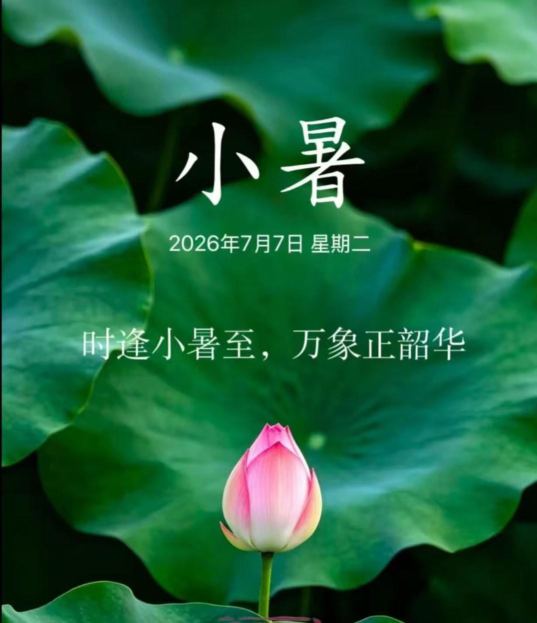 [太阳][太阳][太阳]角度不同，没有对错，站在自己的角度理解别人，站在别人的角