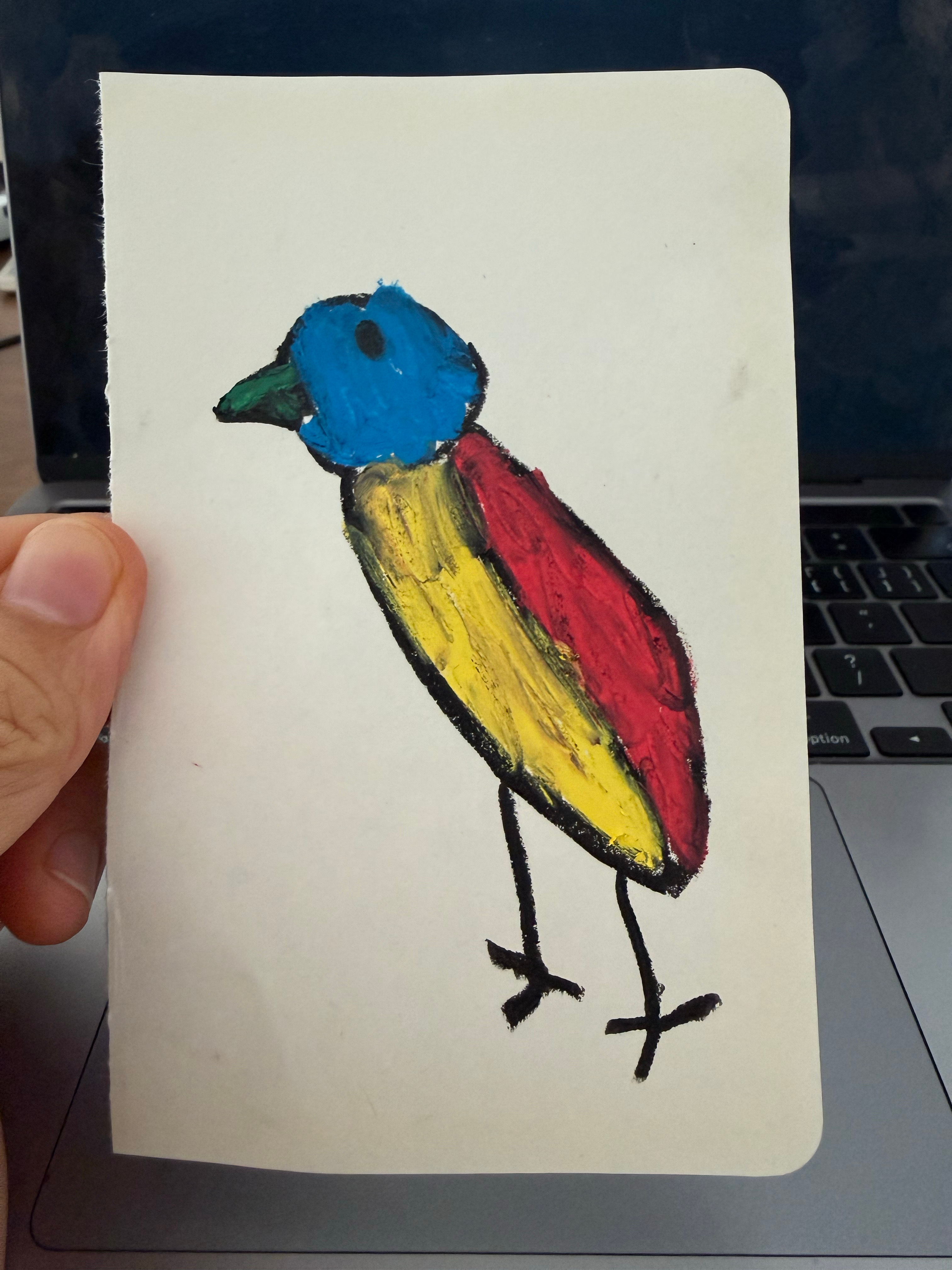 看过一篇怎么记观鸟田野笔记的文章鼓励大家一定要画图我一直觉得很难作者说，先从鸟头