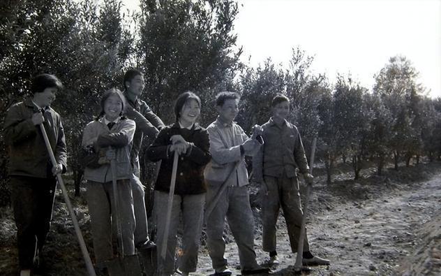 1974年某天早上，20岁的知青张志远壮了壮胆直接闯进寡妇胡庭秀的家里，他将自己