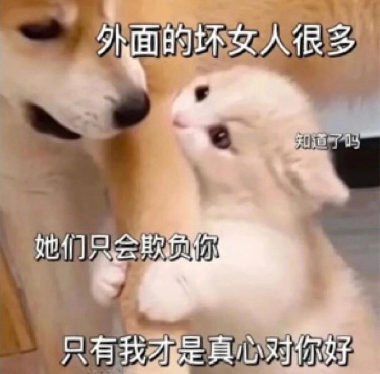 #女生就应该在适当的年纪多恋爱##为什么不建议和太帅的人谈恋爱#现在的女生观念也