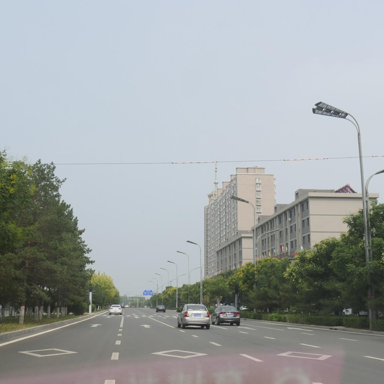 记得2015年那会儿，我在一家酒店后厨打杂，雨晨这姑娘的事，到现在想起来还跟放电