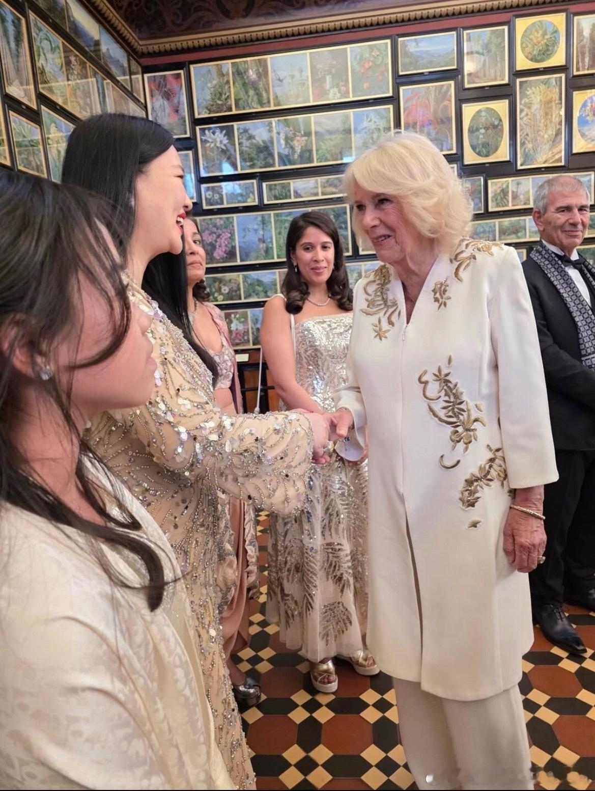 李湘打码掌纹毕竟是公众人物，防范意识高不是什么坏事，李湘和英国王后米拉握过手，身