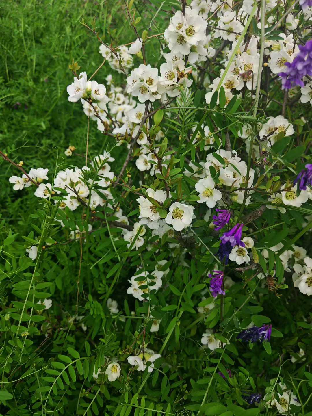 我有一双发现美的眼睛👀[嘿哈]